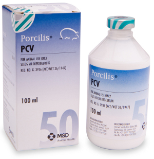 Porcilis Pcv Msd Animal Health South Africa