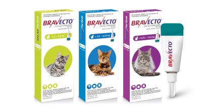 Bravecto Spot On Msd Animal Health South Africa