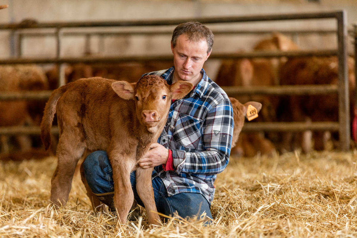 Guides MSD Animal Health South Africa