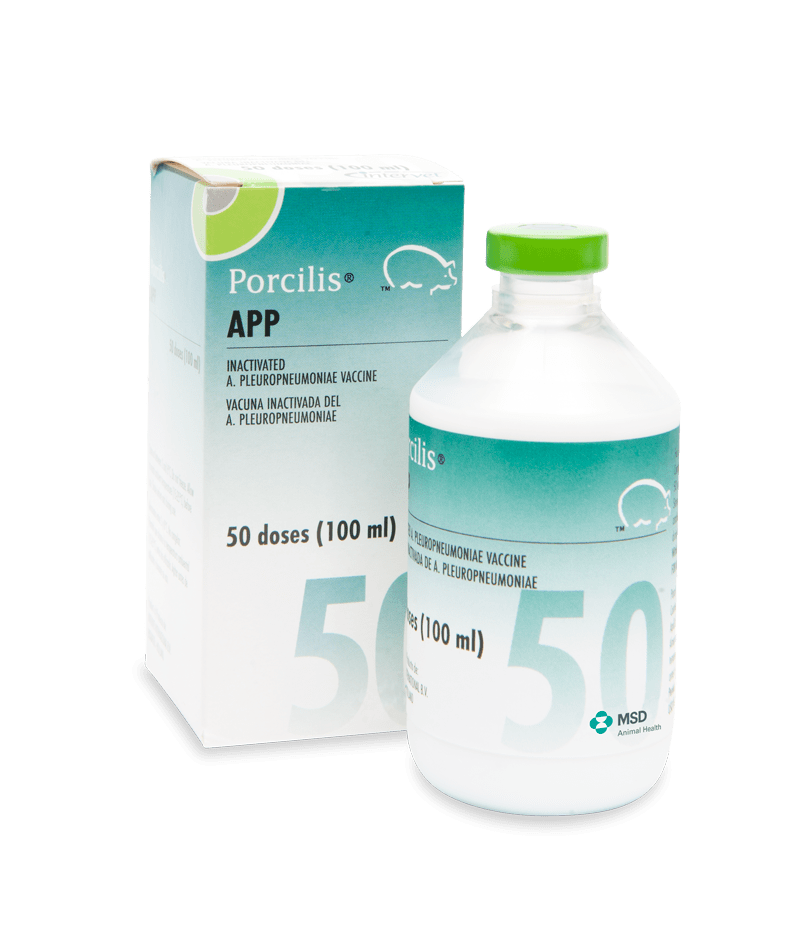 Porcilis® APP MSD Animal Health South Africa