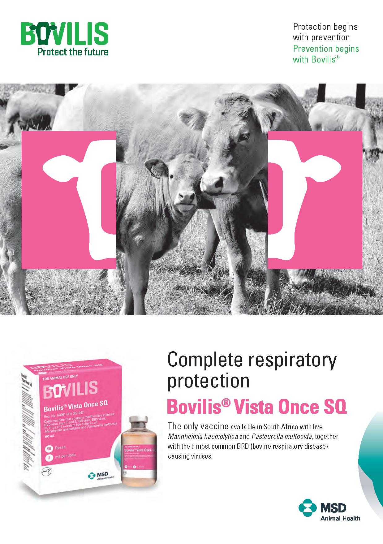 What's New MSD Animal Health South Africa