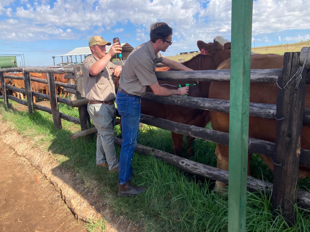 MSD Animal Health Training Academy MSD Animal Health South Africa